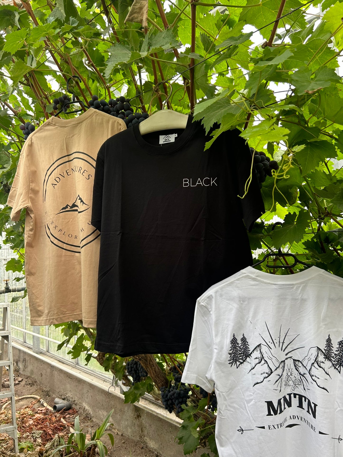 Peak Explorer Tee Beige